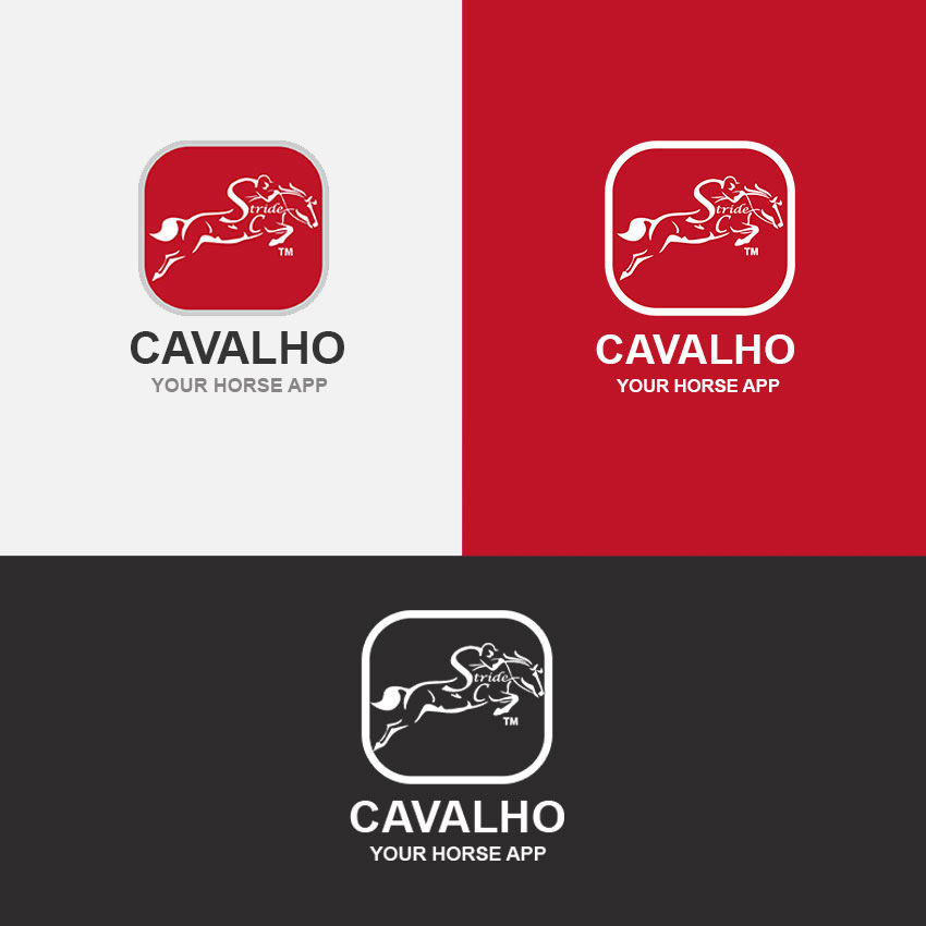 Servicios de diseño de logotipo con vellisamo 