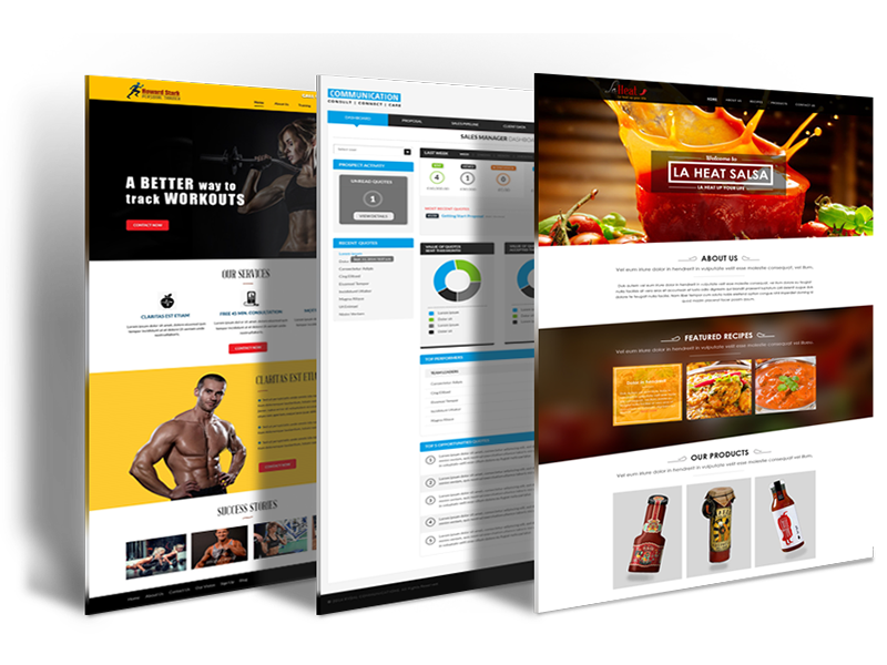 custom website design NJ-USA